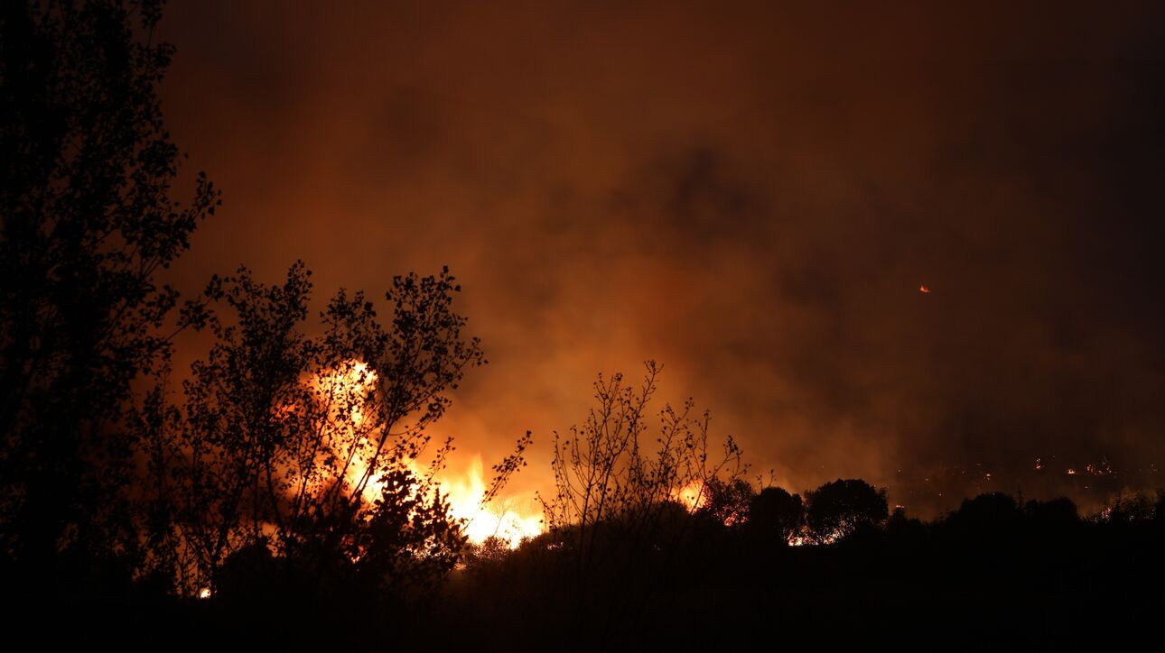 Copernicus: Περισσότερα από 50.410 στρέμματα κάηκαν στην Αλεξανδρούπολη