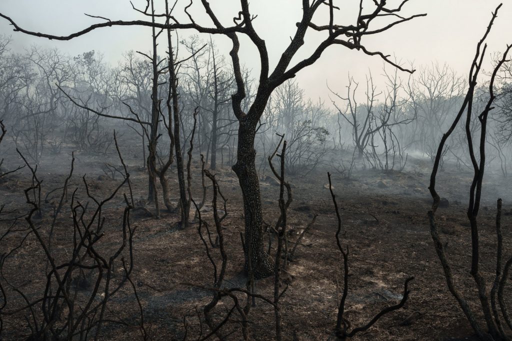 Τηλεφωνικό κέντρο για την αναγνώριση των 18 θυμάτων της φωτιάς στον Έβρο