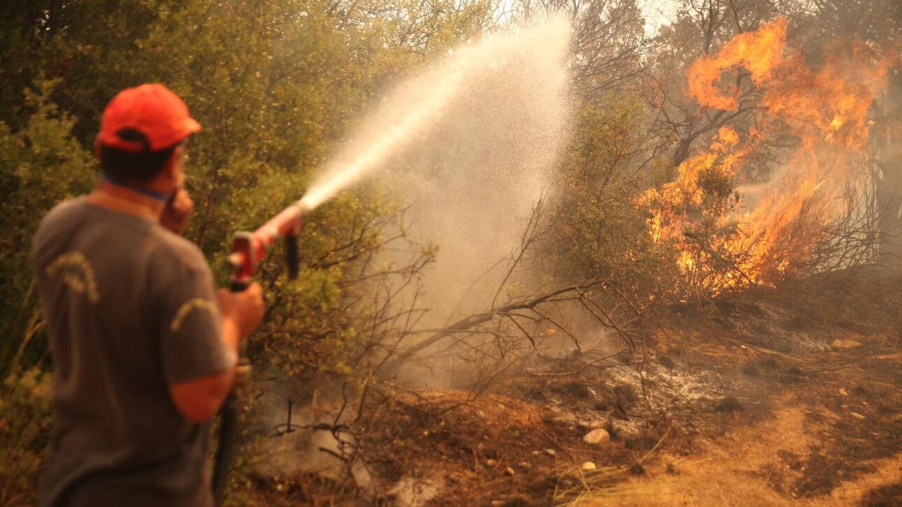 Meteo: Πώς θα κινηθεί η φωτιά στην Πάρνηθα – Γιατί χαρακτηρίζεται ως «οπισθοδρομούσα»