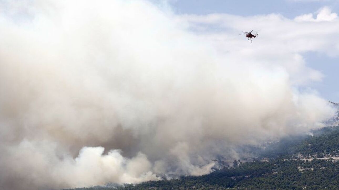 Λέκκας για Πάρνηθα: Τι είναι το «φαινόμενο της καμινάδας» - Οι παράγοντες που ενισχύουν τη φωτιά