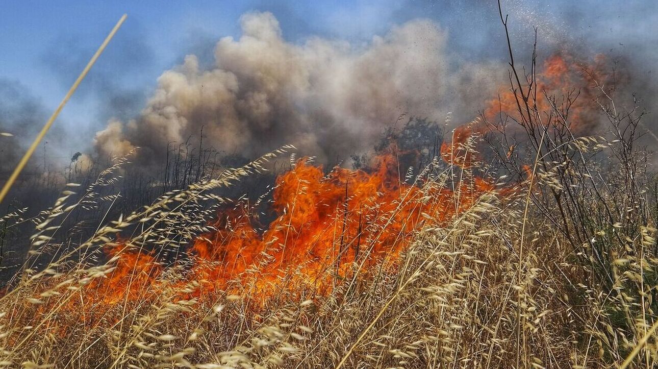 Σε εξέλιξη η φωτιά στον Όλυμπο - Οριοθετήθηκε στην Ροδόπη