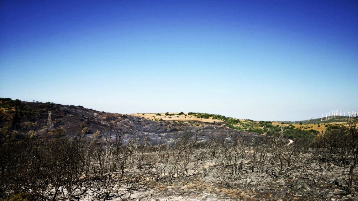 Προφυλακίστηκε ο 20χρονος που προκάλεσε πέντε πυρκαγιές από πρόθεση