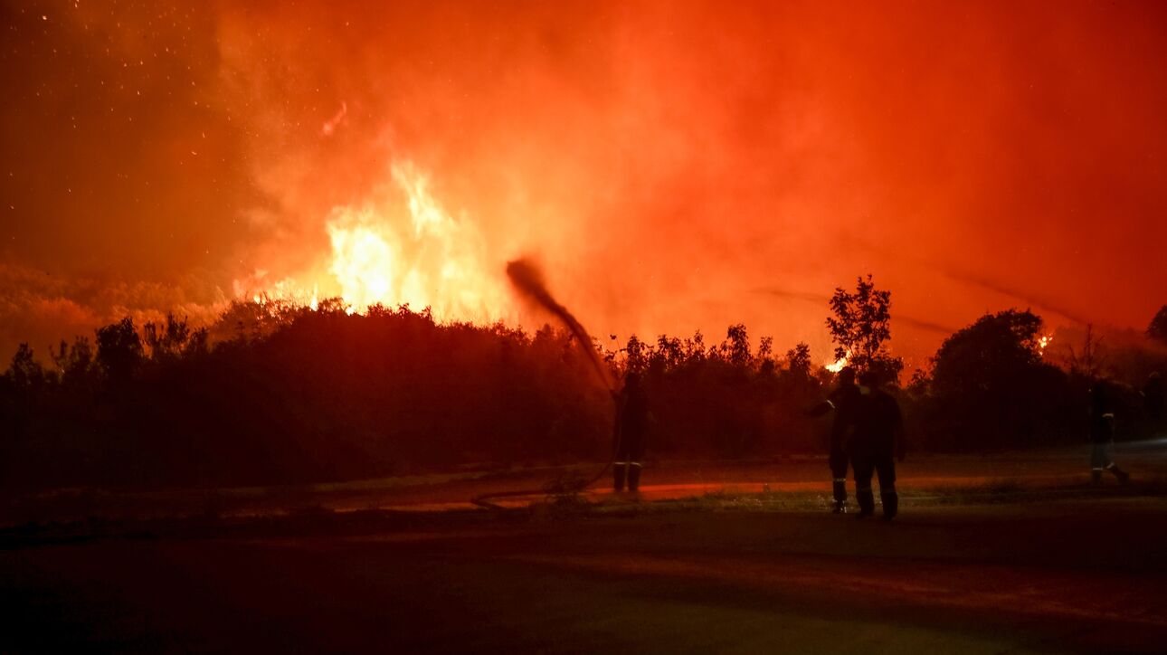 Τραγωδία στο δάσος της Δαδιάς: Βρέθηκαν 18 απανθρακωμένες σοροί στην περιοχή Άβαντα