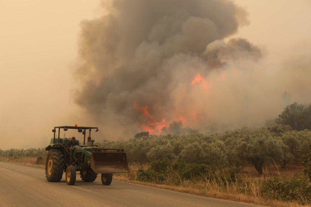 Φωτιές: Μετά την καταστολή των πυρκαγιών η αποτίμηση της συνολικά καμένης έκτασης