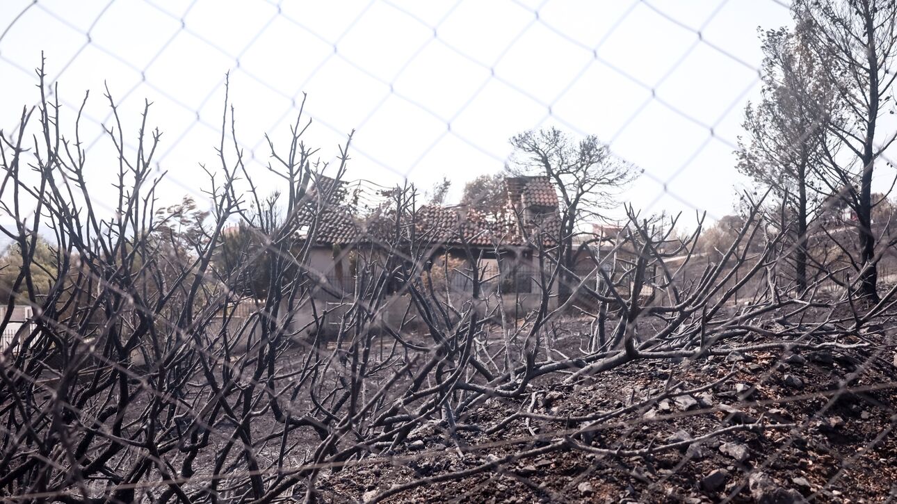 Δορυφορική εικόνα από την καμένη έκταση στον Έβρο: Στάχτη πάνω από 800.000 στρέμματα γης