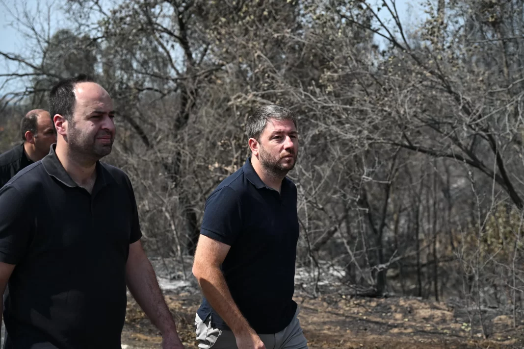 Νίκος Ανδρουλάκης: Το κλειδί της αντιμετώπισης των πυρκαγιών στη χώρα μας είναι η πρόληψη