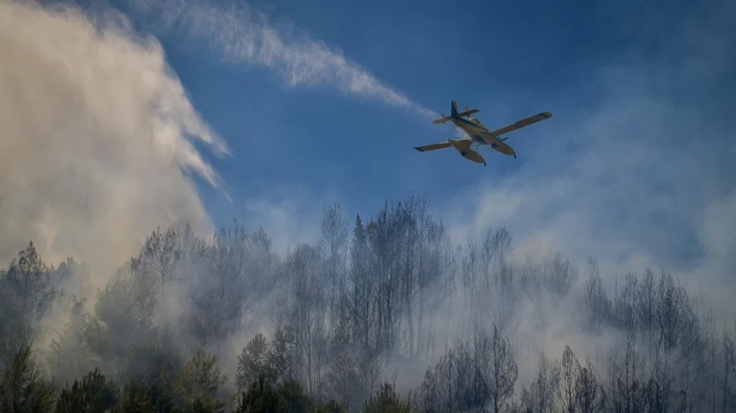 Σε εξέλιξη για 11η μέρα η φωτιά στον Έβρο, αναζωπυρώσεις και στη Ροδόπη – Ενεργές καύσεις σε Πάρνηθα και Βοιωτία