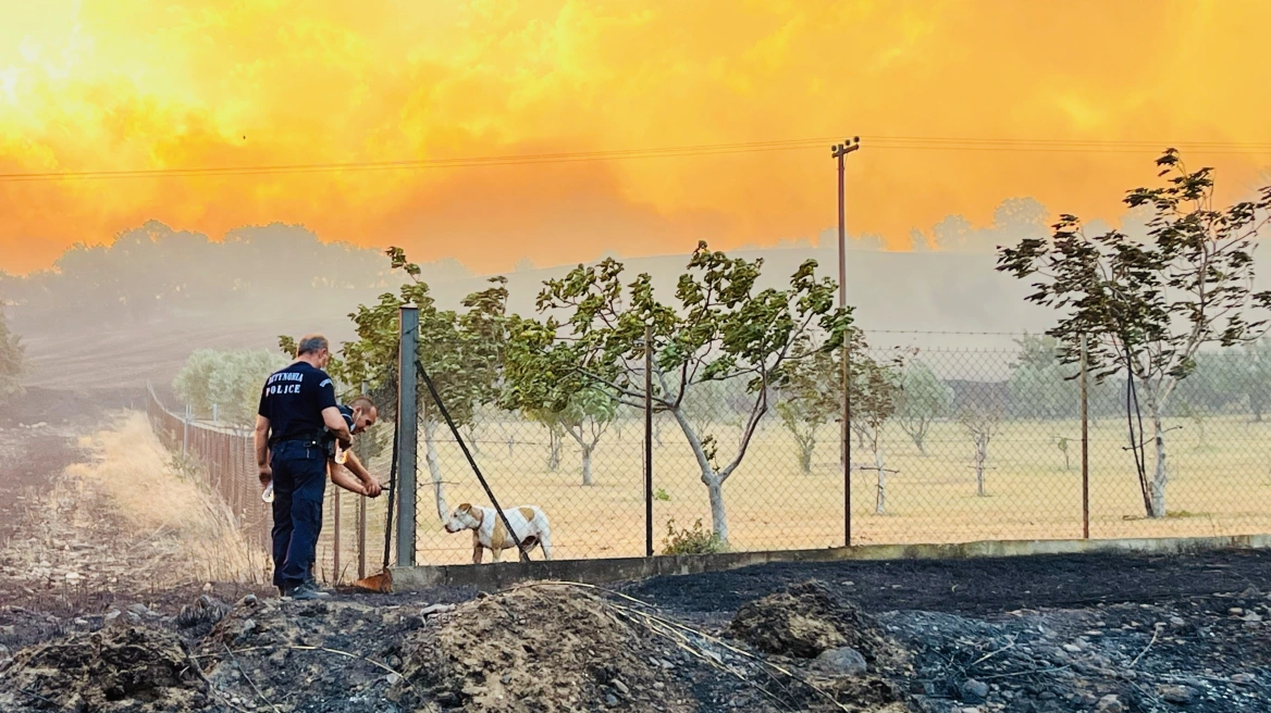Αλεξανδρούπολη: Αστυνομικοί έσωσαν εγκλωβισμένο σκύλο από την φωτιά