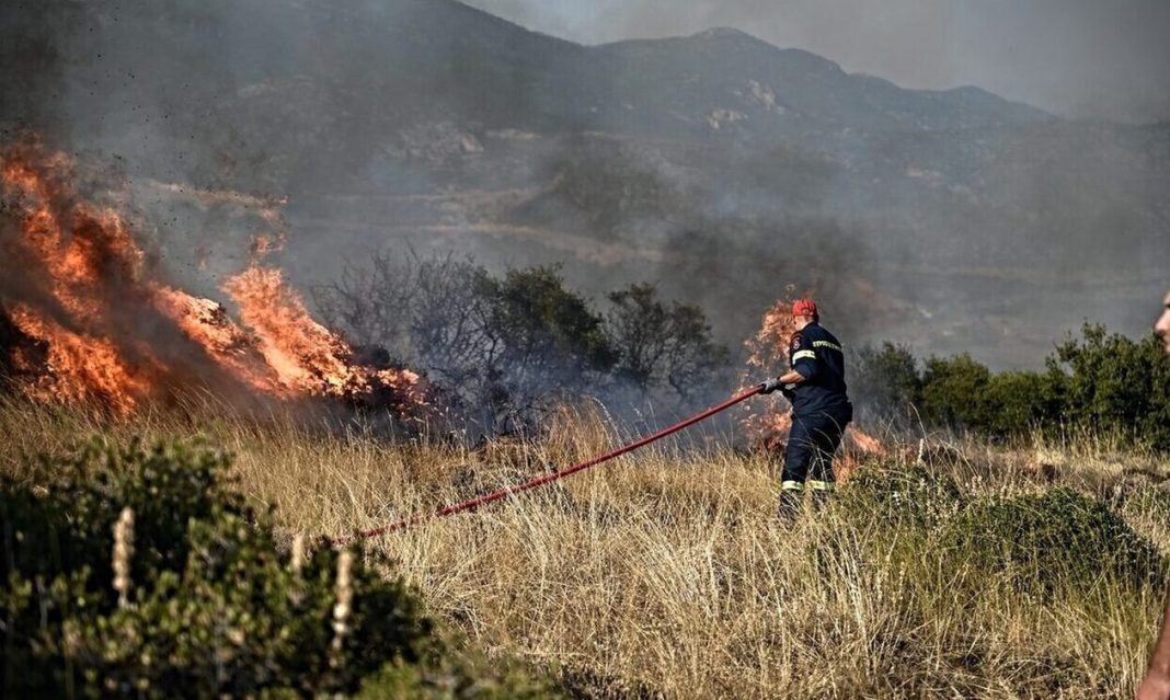 Έβαλε φωτιά 95χρονη για να κάψει ξερά κλαδιά της ξέφυγε και… πρόλαβε η Πυροσβεστική