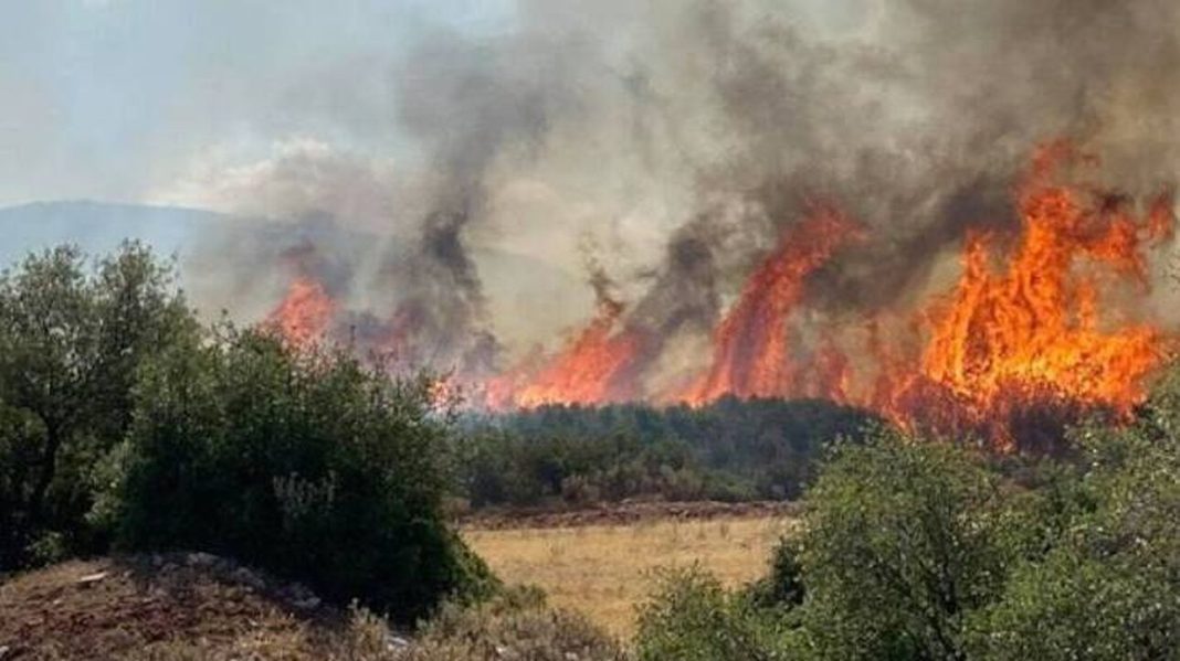 Φωτιά στην Αλεξανδρούπολη: Πλησιάζουν στο δάσος Δαδιάς οι φλόγες