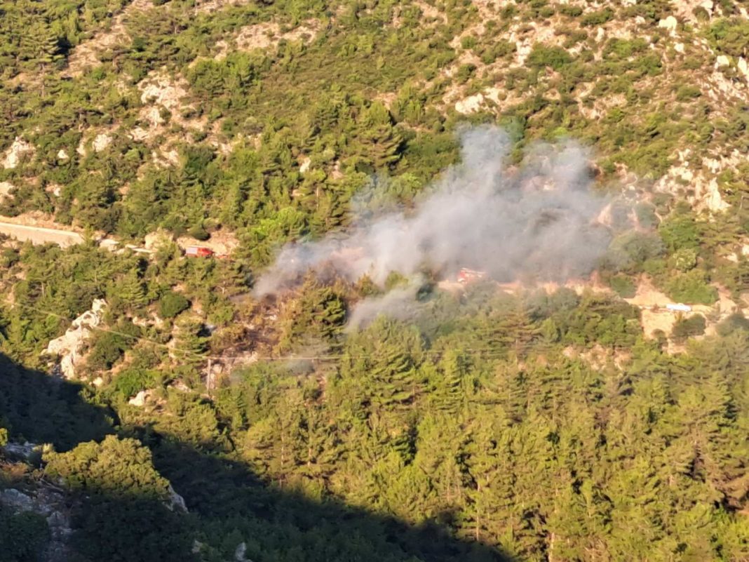 Κρήτη: Κλάδευε δέντρα και προκάλεσε φωτιά - Συνελήφθη 80χρονος