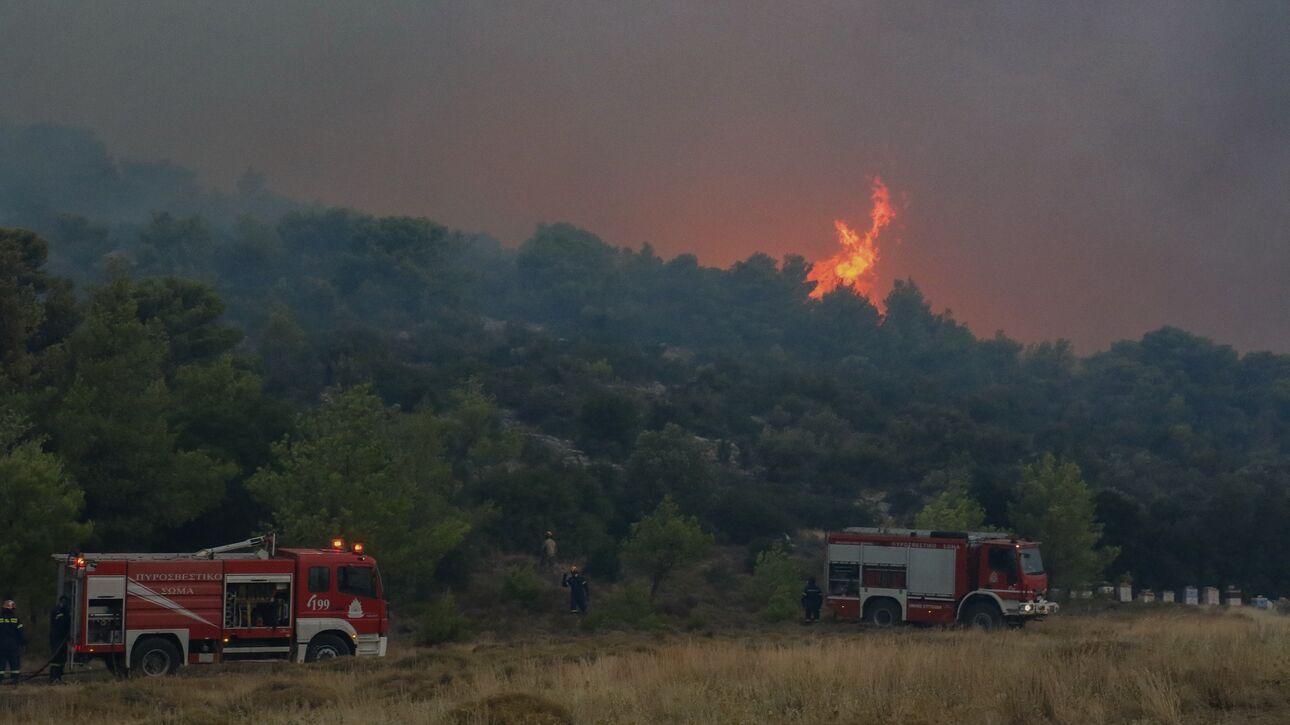 Χωματερές τα δάση - Αφήνουν μέχρι και δεξαμενές πετρελαίου