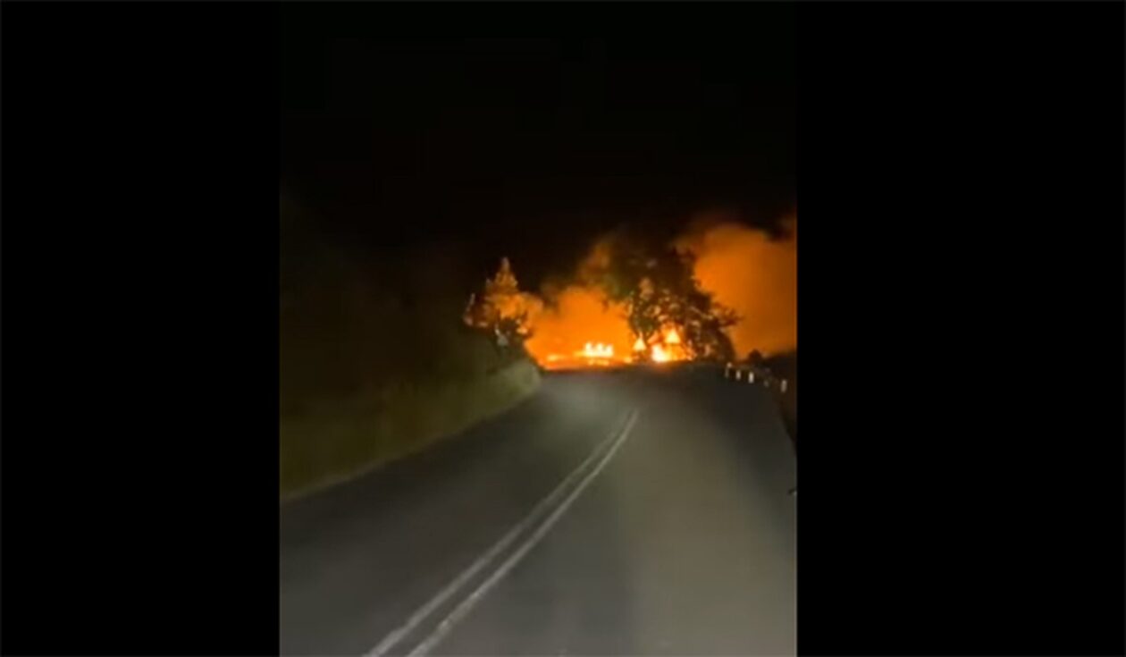 Αυτοκίνητο «λαμπάδιασε» σε δρόμο – Εκρήξεις και φωτιά σε χόρτα και δέντρα (βίντεο)