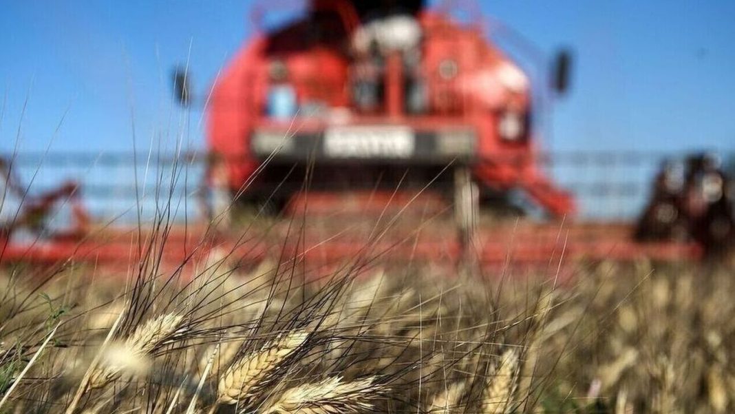 ΕΛΓΑ: Μέχρι τις 29 Αυγούστου η καταβολή της ειδικής ασφαλιστικής εισφοράς
