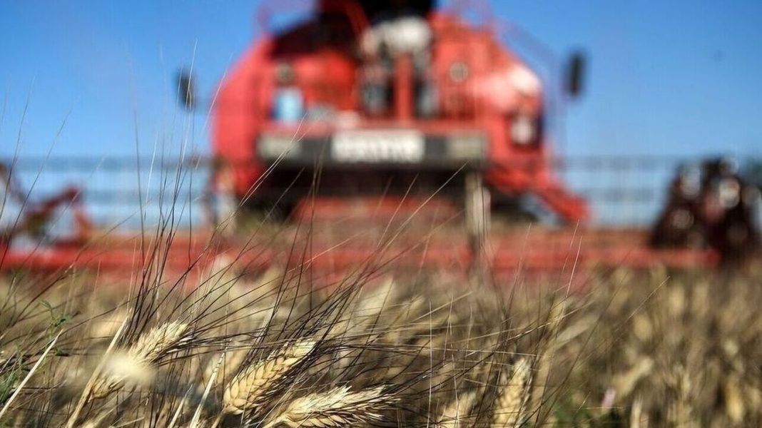 ΕΛΓΑ: Μέχρι τις 29 Σεπτεμβρίου η ειδική ασφαλιστική εισφορά