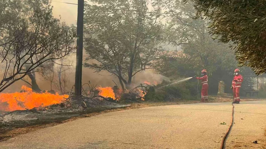 Σε τρία μέτωπα η μάχη με τις φλόγες στην Αλεξανδρούπολη – Νέο «112» για εκκένωση 4 οικισμών