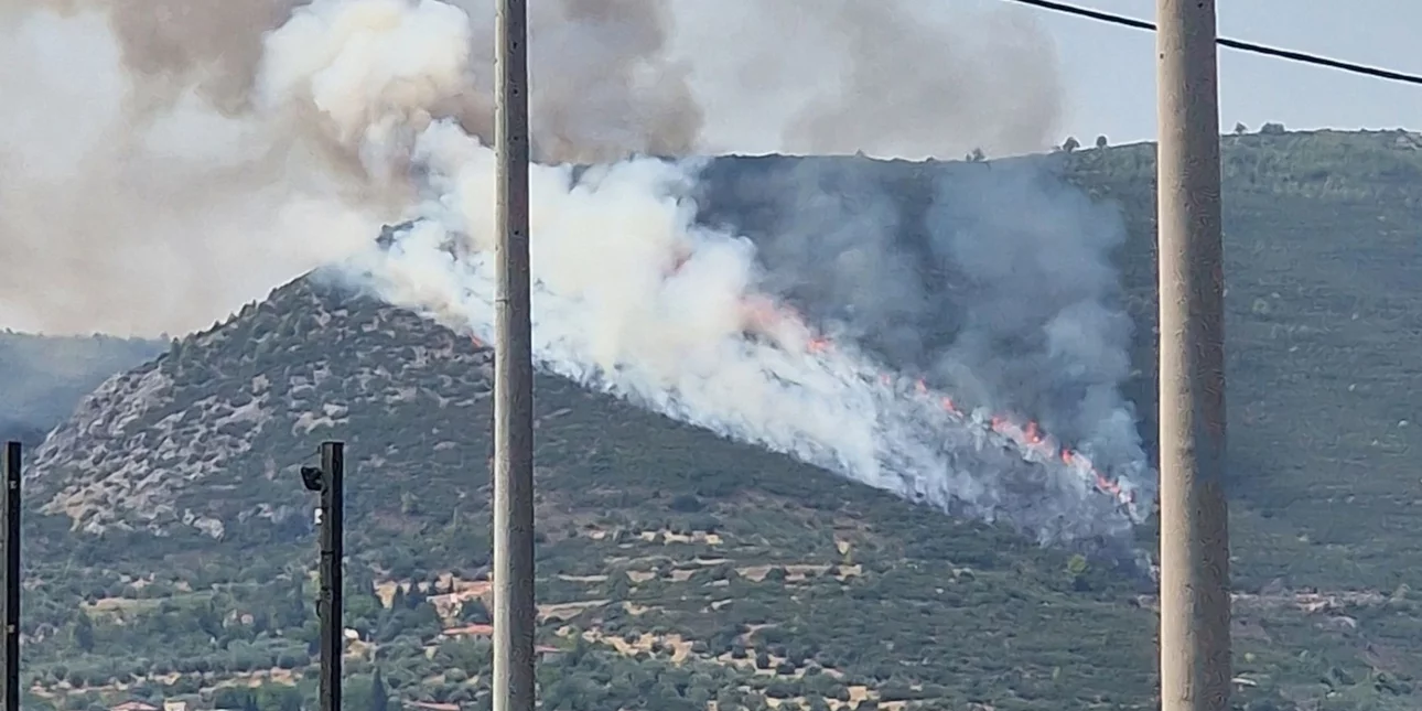 Πρώην δικηγόρος με ψυχολογικά προβλήματα ο εμπρηστής του Αυλώνα – Έκοβε βόλτες στα σημεία που ξέσπασαν οι φωτιές