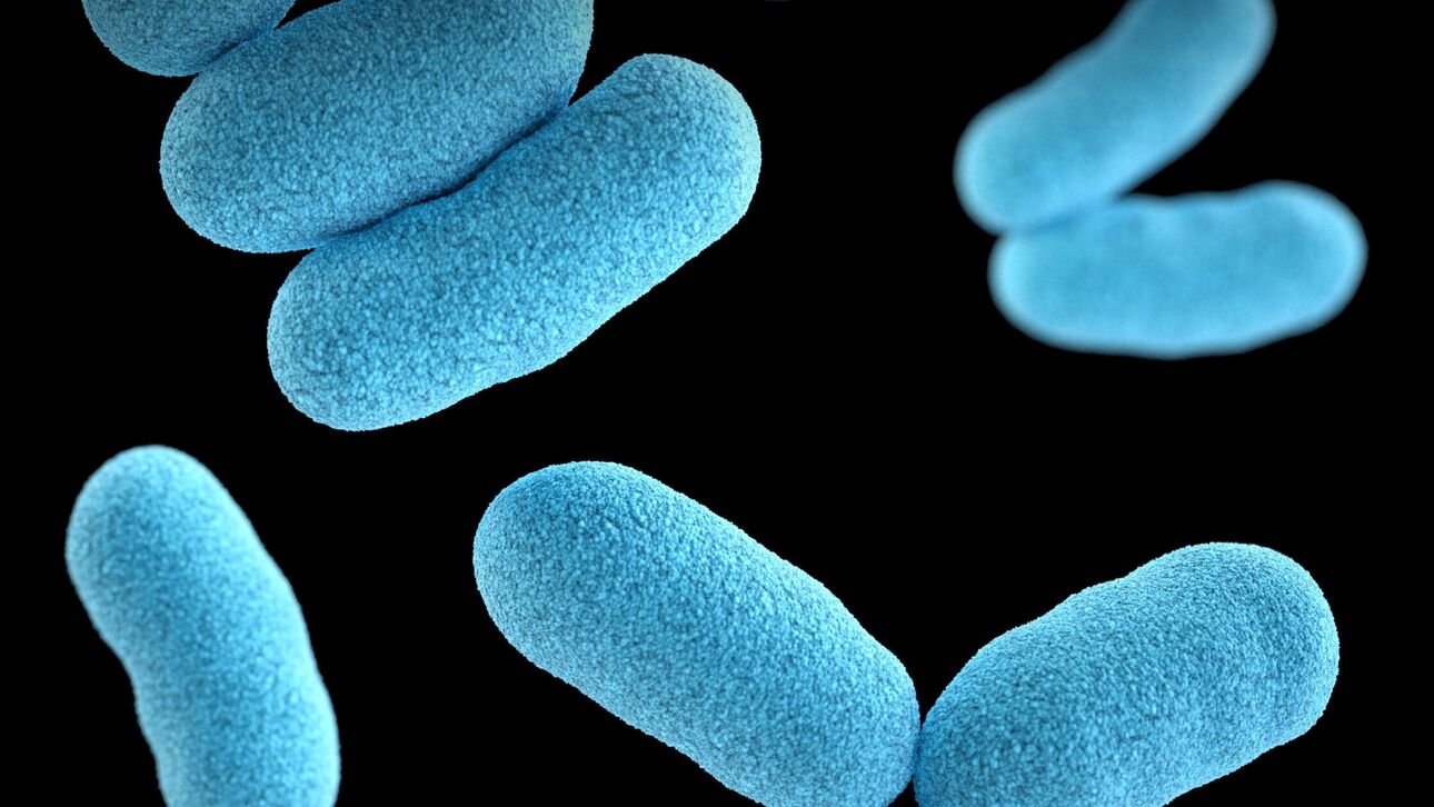 Κρούσματα λιστερίωσης μετά από τρεις θανάτους που συνδέονται με παγωτομηχανές