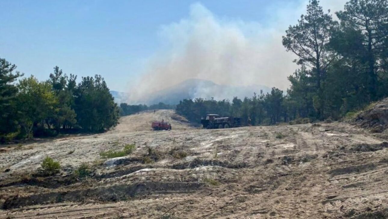 Αλεξανδρούπολη: Εντοπίστηκε μία ακόμη απανθρακωμένη σορός