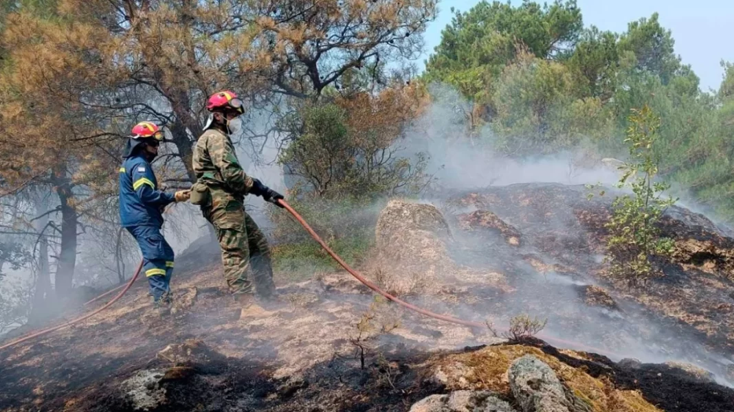 Φωτιά στον Έβρο: Εντοπίστηκαν τουλάχιστον 18 απανθρακωμένοι μετανάστες στο δάσος της Δαδιάς