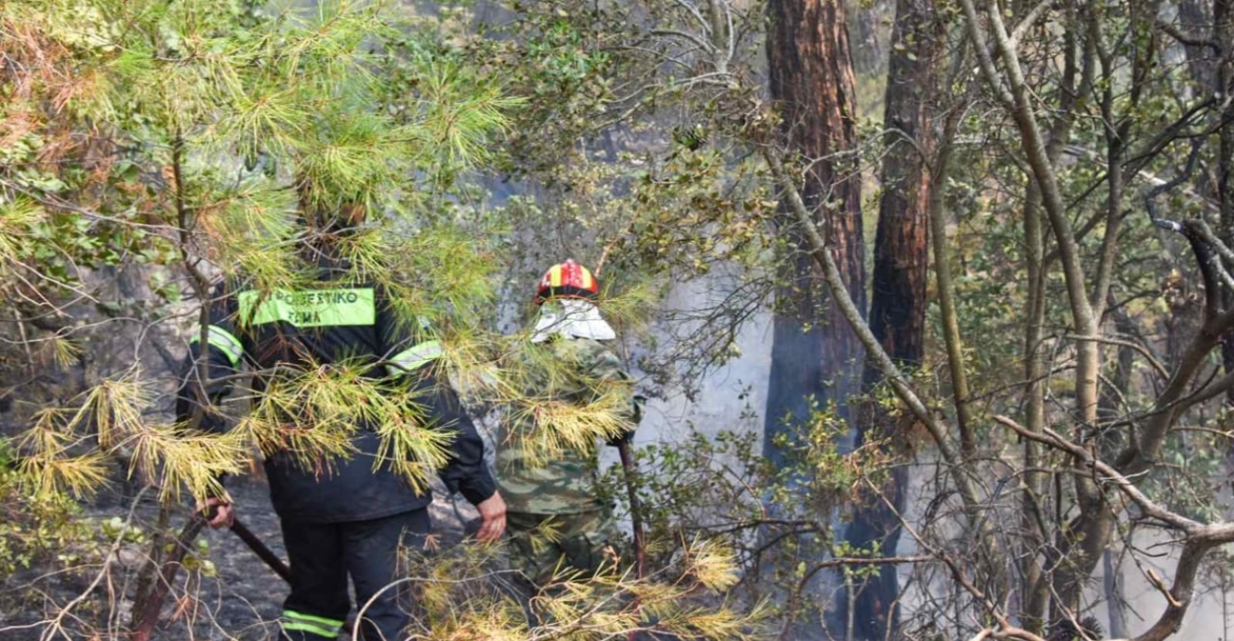 Φωτιές στη Δαδιά - Αρτοποιός: Ξέσπασαν σε γνωστά περάσματα διακινητών