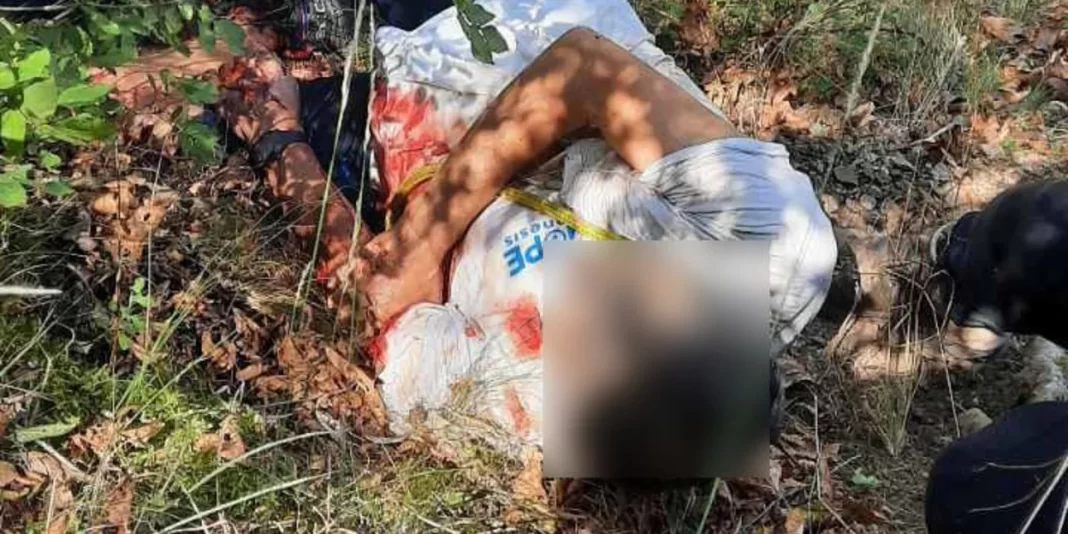 Επίθεση αρκούδας σε άνδρα στα Τρίκαλα: «Τον δάγκωσε παντού, δεν μπορούσε να αντιδράσει στη μανία της»
