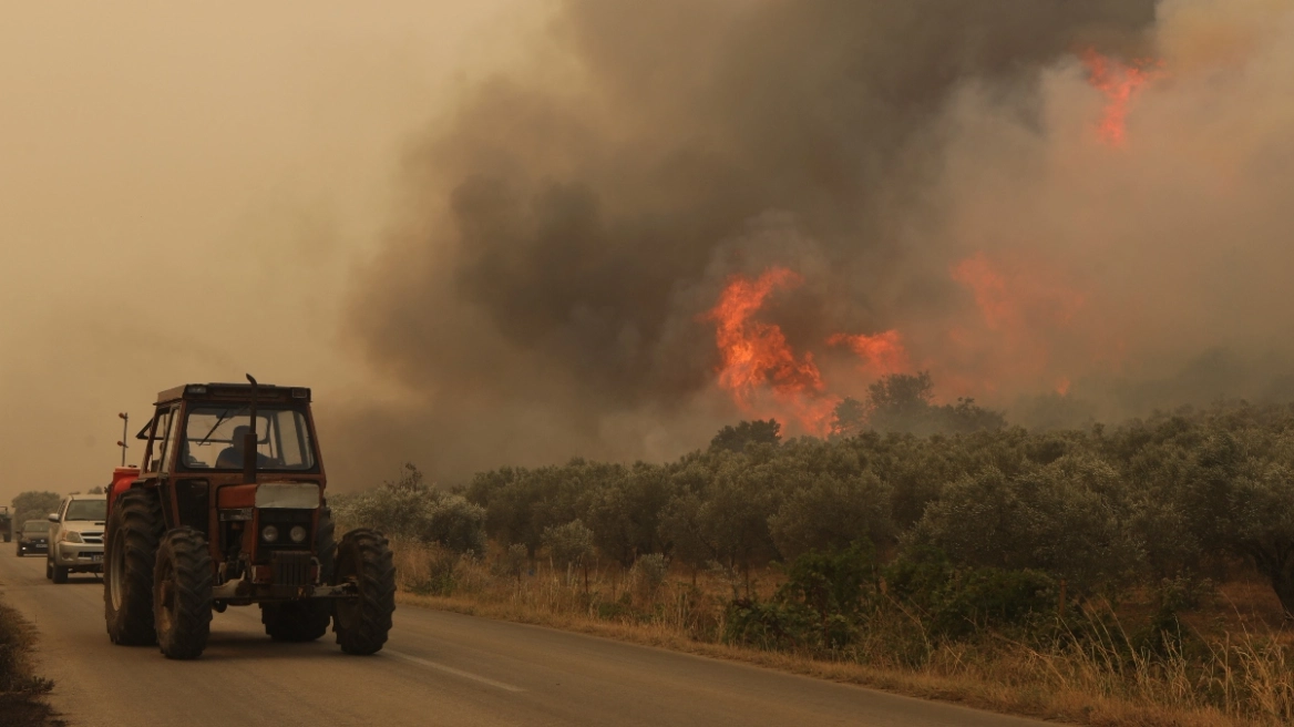 Φωτιά στον Ασπρόπυργο - 6 αστυνομικοί τραυματίστηκαν εμποδίζοντας πλιάτσικο