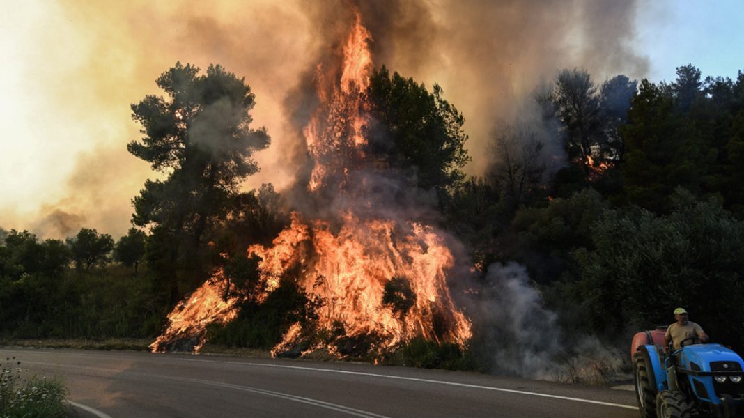 Φωτιά στην Καβάλα: Μήνυμα του «112» για εκκένωση του οικισμού Άγιος Κοσμάς