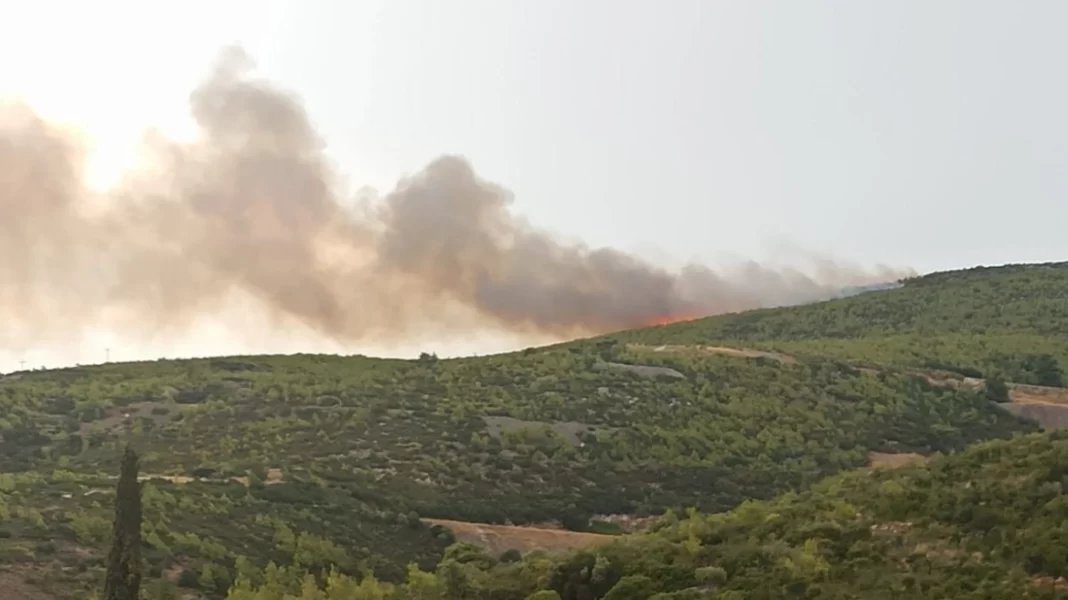 Φωτιά σε Γραμματικό, Βαρνάβα και Μαραθώνα