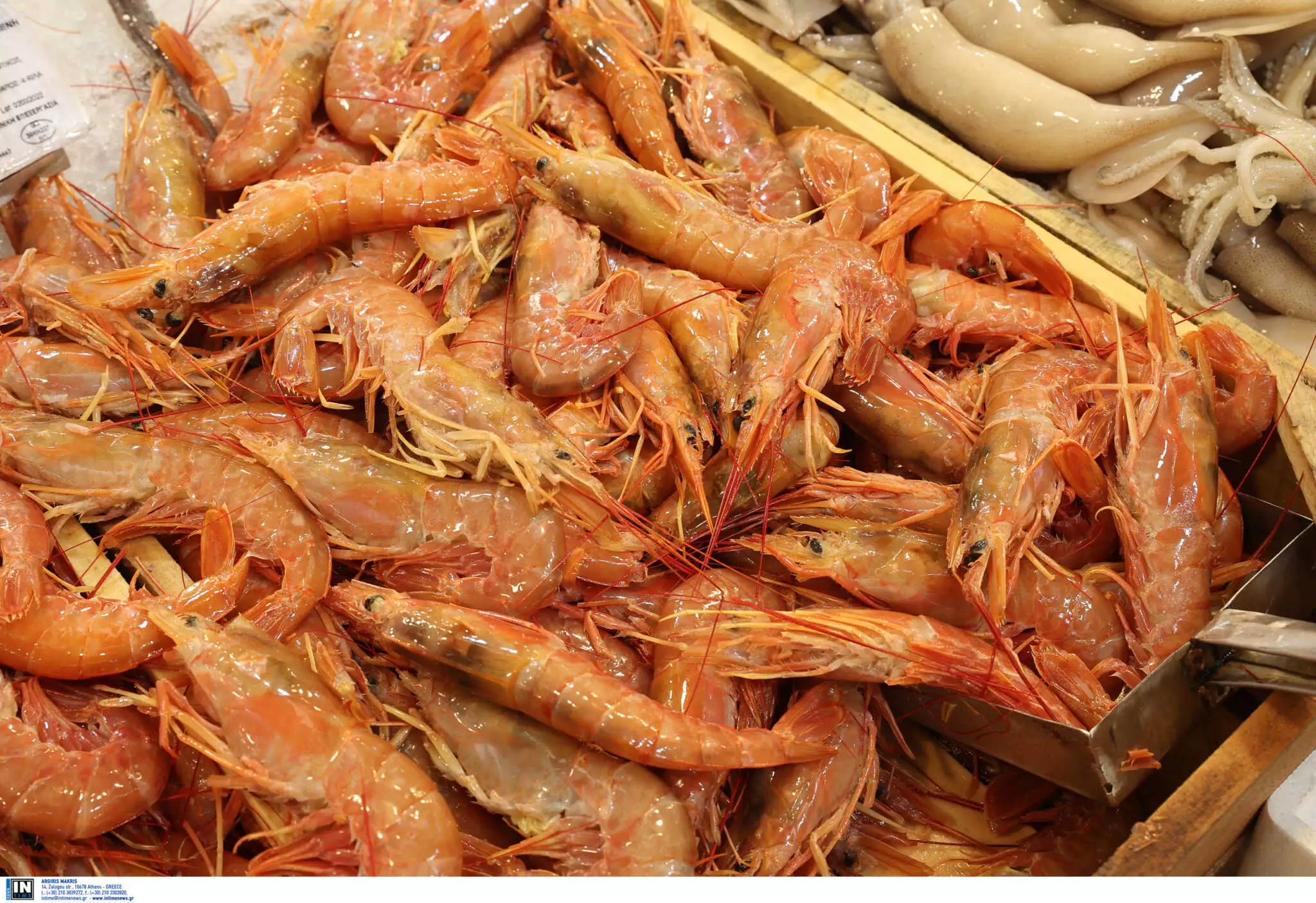 Μύκονος: Εστιατόριο χρέωσε 711 ευρώ για 4 ποτά, καλαμάρια και γαρίδες – «Κράξιμο» στο Twitter