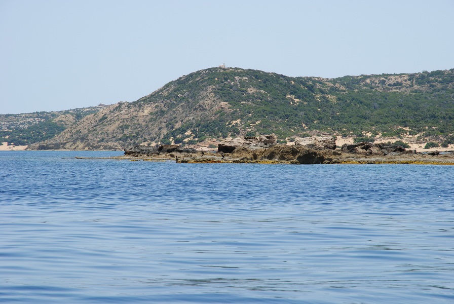 «Σύστημα συναγερμού» για αναδυόμενες νόσους στη Γαύδο – Στο επίκεντρο της έρευνας τα μεταναστευτικά πουλιά