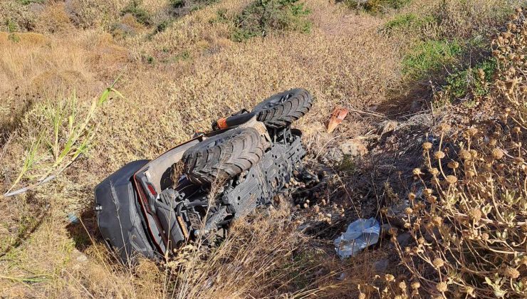 Κρήτη: Τροχαίο ατύχημα με γουρούνα