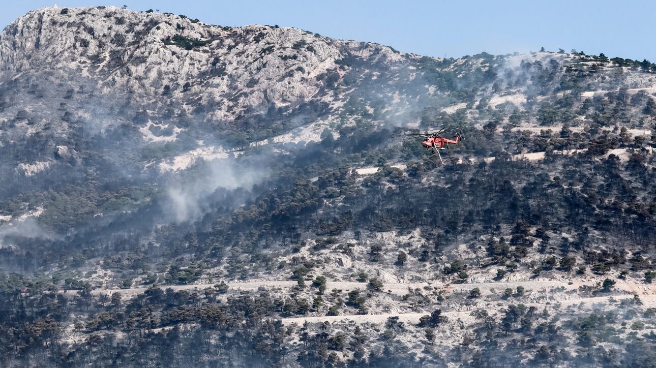 Το Tik Tok προσέφερε 200.000 ευρώ στον Ελληνικό Ερυθρό Σταυρό για την ενίσχυση των πυρόπληκτων