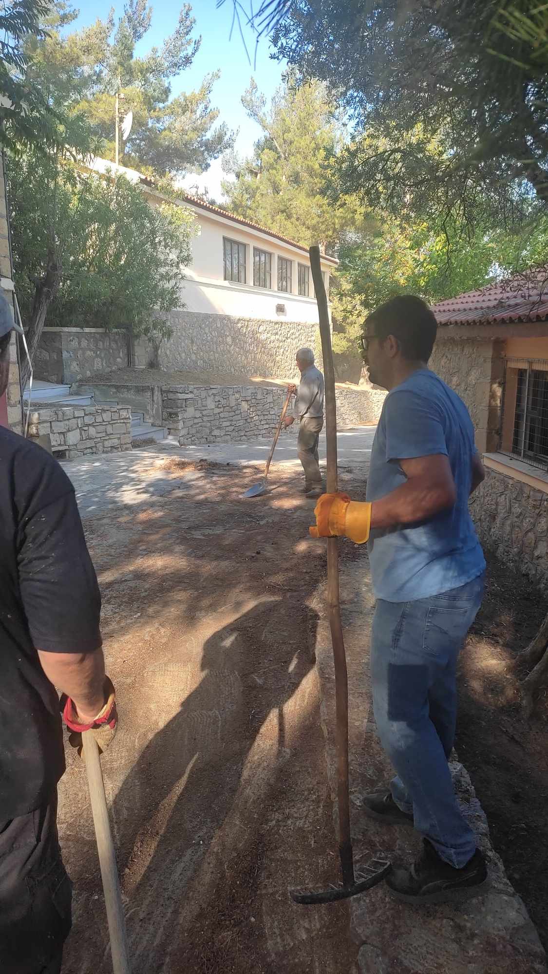 Καθαρισμός στο δάσος του Γυμνασίου Γέργερης