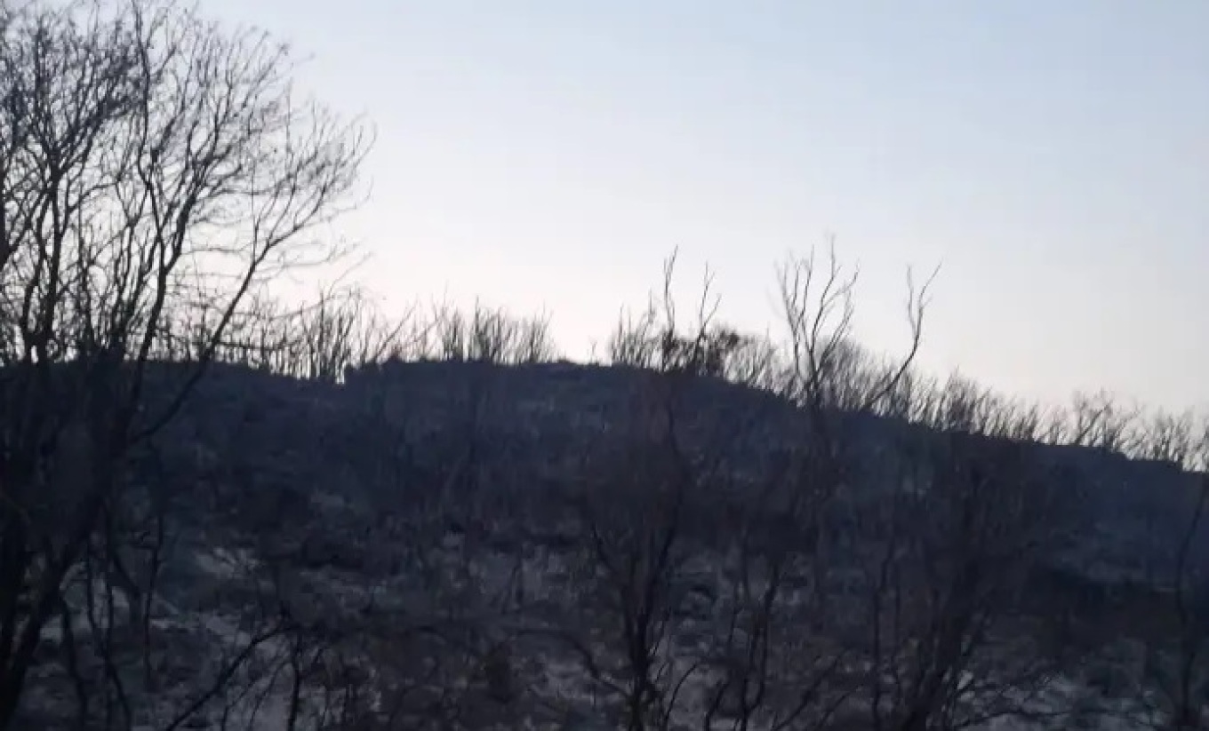 Φωτιά στην Αλεξανδρούπολη: Αποκαρδιωτικές οι πρώτες εικόνες από το δάσος της Κίρκης