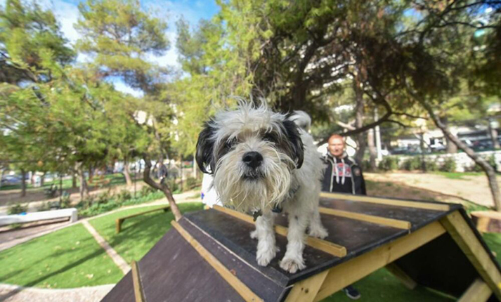 Πάρκα Σκύλων σε γειτονιές και συνοικίες: Ευθύνη των Δήμων και επιτακτική ανάγκη στην καθημερινότητα εμάς των Δημοτών