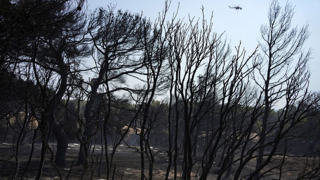 Πάρνηθα: Περισσότερα από 60 χιλιάδες στρέμματα καμένα - Η μισή έκταση εντός Εθνικού Δρυμού