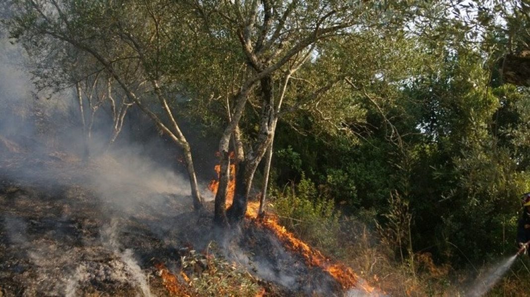 Σε ύφεση η φωτιά στην Κεφαλονιά - Τραυματίστηκε ο διοικητής της Πυροσβεστικής