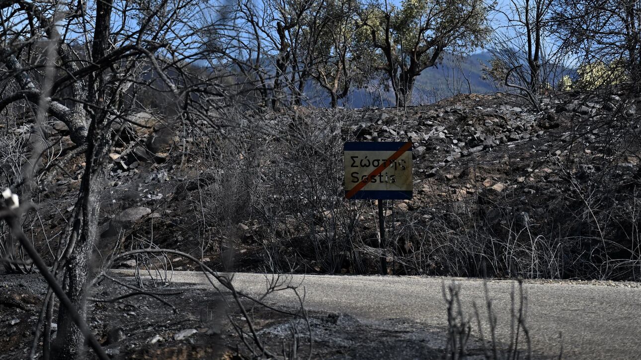 Υπό έλεγχο οι πυρκαγιές στη Ροδόπη