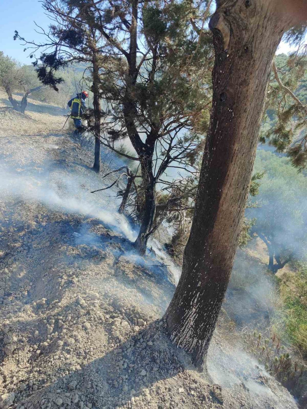 Ηράκλειο: Φωτιά έκαψε 1,5 στρέμμα γης