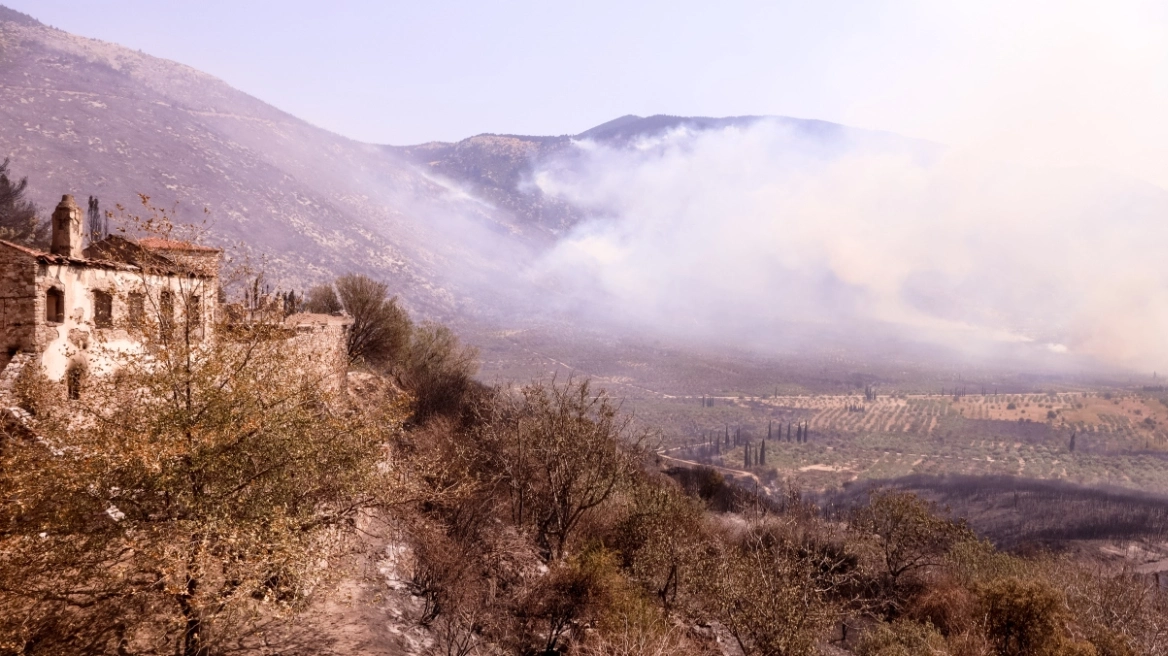 Φωτιά στη Βοιωτία: Μάχη να σβήσουν τα «καντηλάκια»