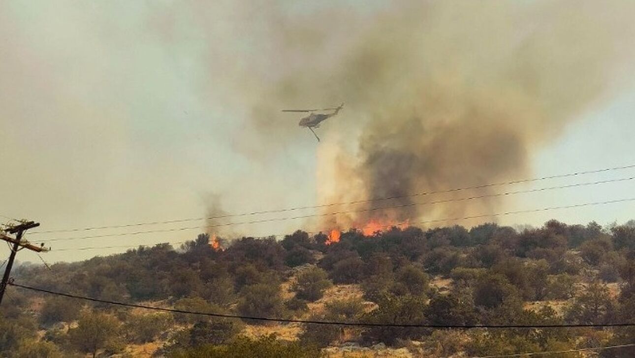 Φωτιά στην Αλεξανδρούπολη: Αναμένονται αεροσκάφη από Κύπρο και επίγειες δυνάμεις από Ρουμανία