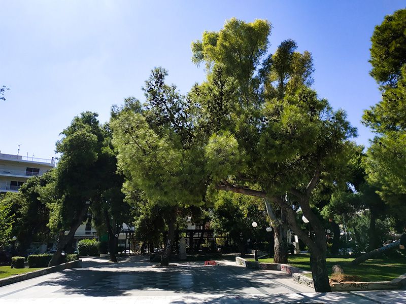 Αποκεντρωμένη Διοίκηση Κρήτης κι ΕΛ.ΜΕ.ΠΑ. δημιουργούν παρατηρητήριο αστικού πρασίνου – Με ενόργανο εξοπλισμό ο έλεγχος ασφάλειας των δέντρων
