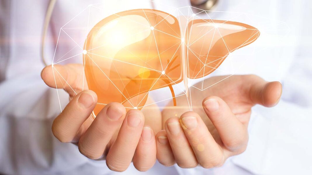 Ήπαρ: Το πασίγνωστο φυτό που αποτρέπει την συσσώρευση λίπους