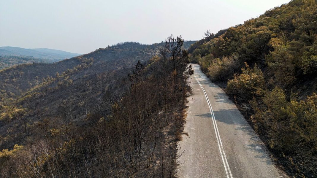 Σε ύφεση η φωτιά στον Έβρο 17 ημέρες μετά: Βιβλική καταστροφή άφησε το πύρινο μέτωπο