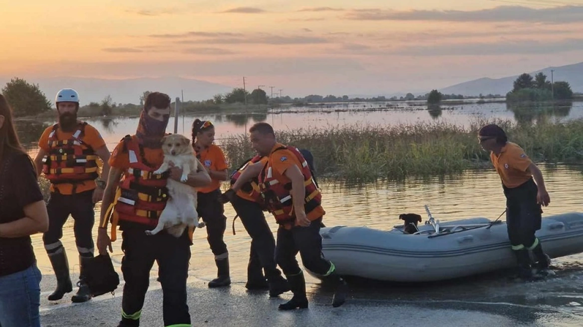 «Τέτοιες πλημμύρες μόνο στη Νέα Ορλεάνη από την τηλεόραση» - Διασώστες μιλούν για τη Θεσσαλία