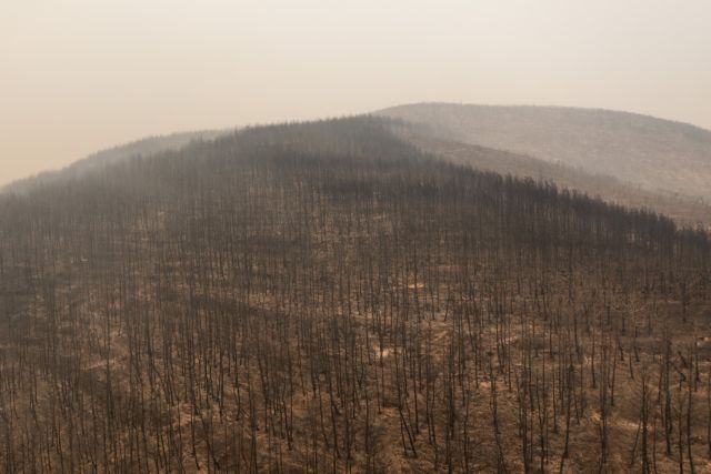 Φωτιά: 935.000 τα καμένα στρέμματα – Νέα δορυφορική απεικόνιση της καταστροφής