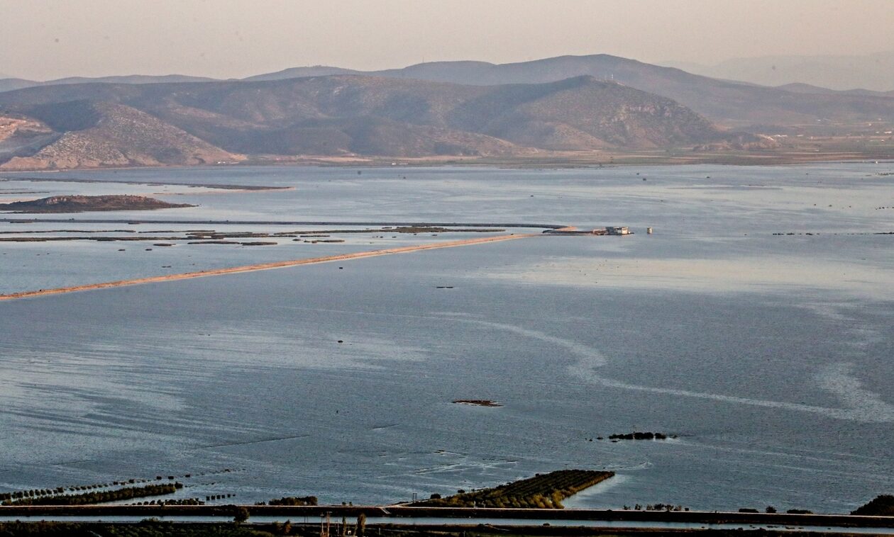 Λάρισα: Ολλανδοί επιστήμονες μετέβησαν στη λίμνη Κάρλα για αυτοψίες