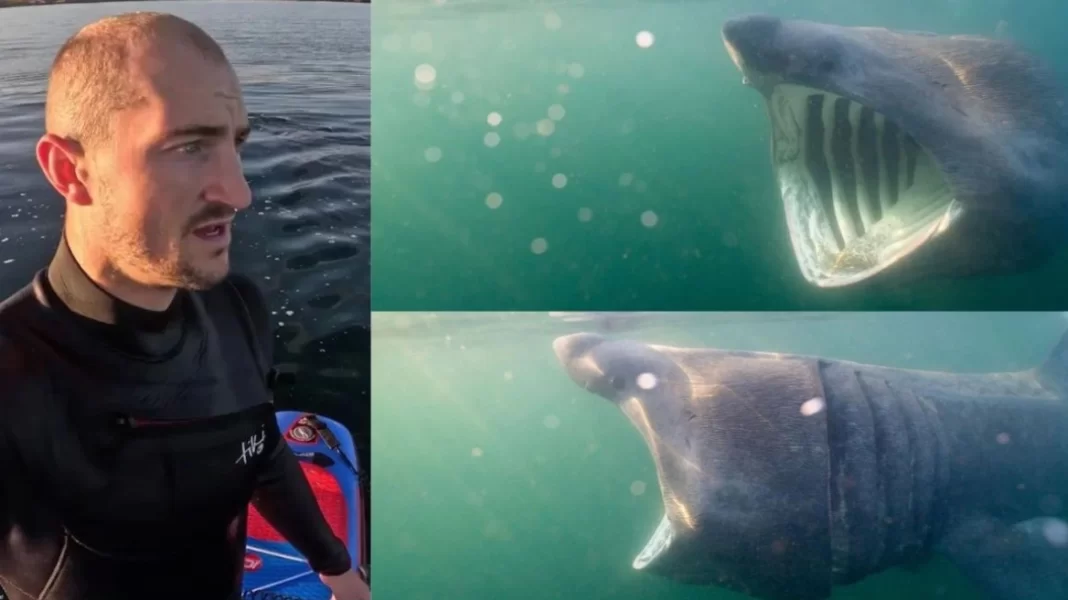 Sharp_Exof Σκωτία: Τον περικύκλωσε καρχαρίας και κατέγραψε τη στιγμή σε βίντεο