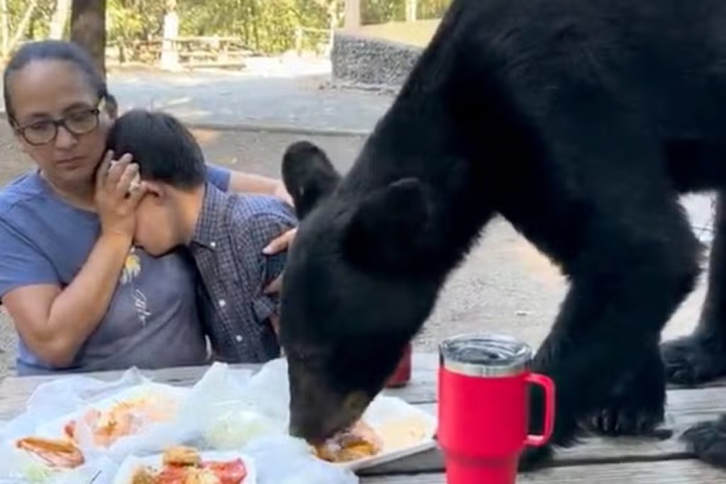 Viral: Αρκούδα «ρημάζει» το πικνίκ μίας οικογένειας